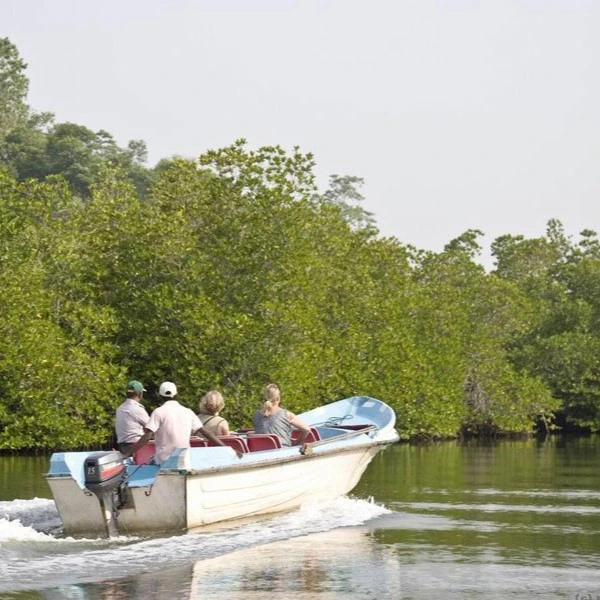 Koggala Lake Boat Safari